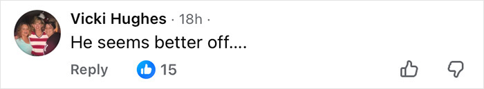 Screenshot of a social media comment by Vicki Hughes saying He seems better off with 15 likes reacting to Chris Noth and Sarah Jessica Parker.