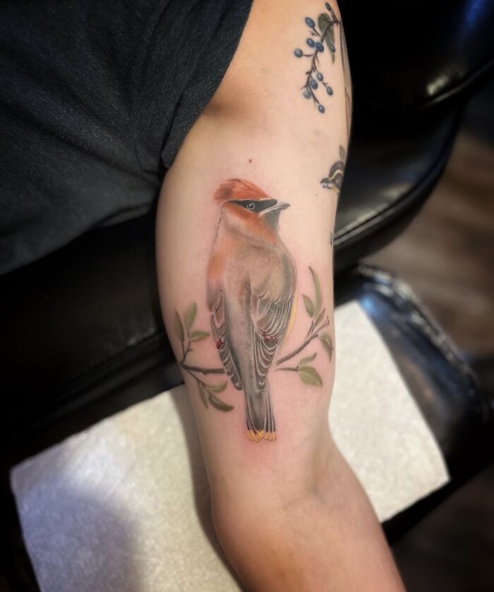 The Timeless Bird Tattoos Of Tara Morgan