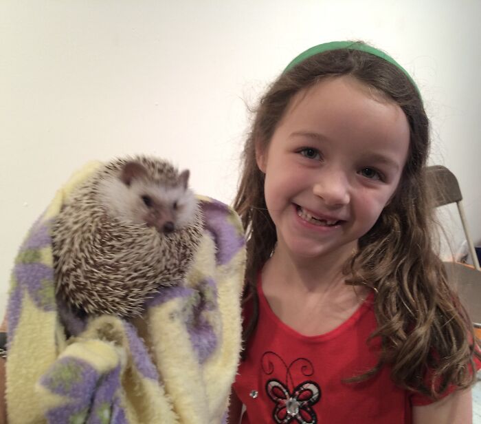People Meeting Hedgehogs