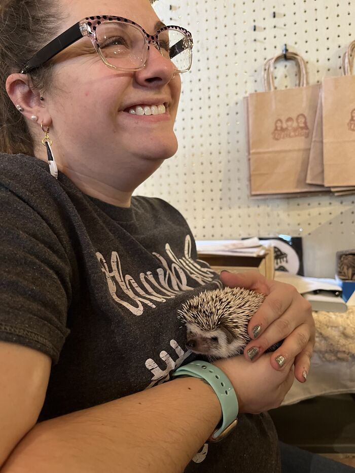 People Meeting Hedgehogs