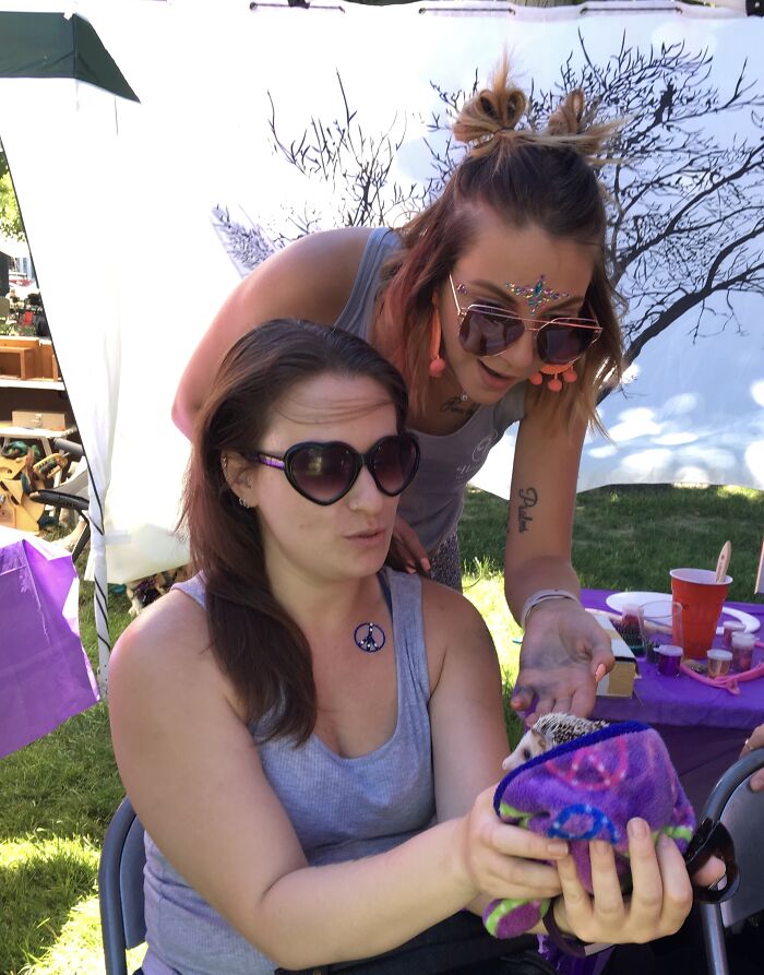 People Meeting Hedgehogs