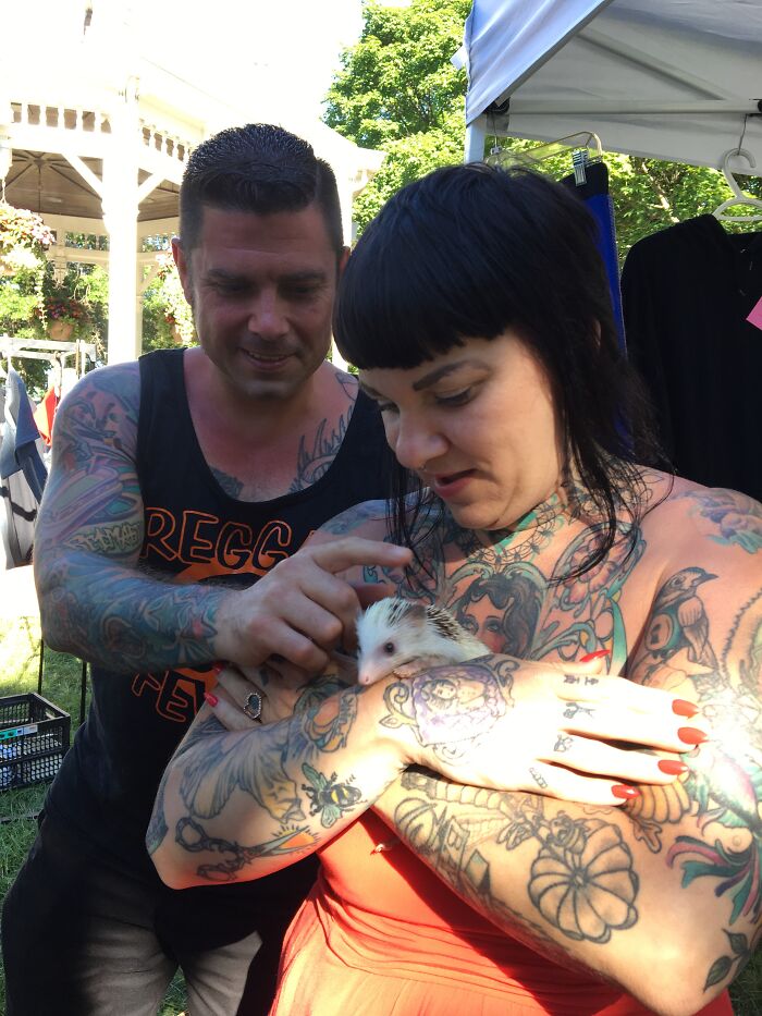 People Meeting Hedgehogs