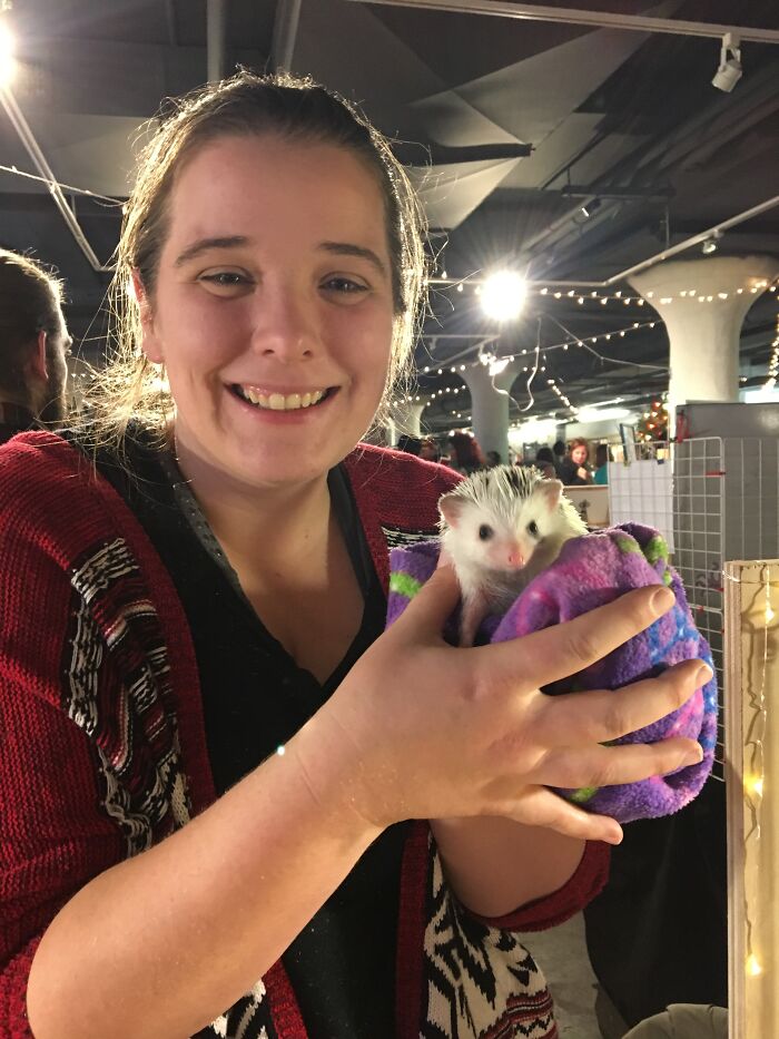 People Meeting Hedgehogs