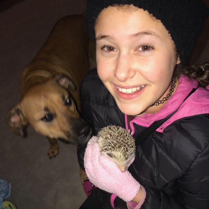 People Meeting Hedgehogs