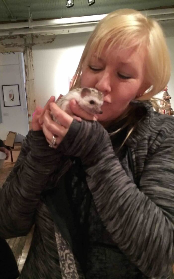 People Meeting Hedgehogs
