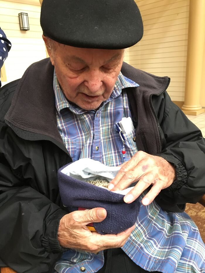People Meeting Hedgehogs