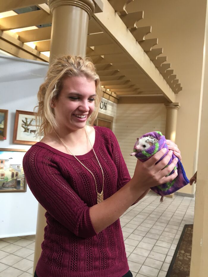 People Meeting Hedgehogs