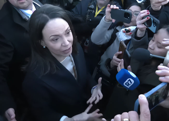Nobel Committee member addressing reporters amid media crowd, phones, and microphones during press interaction.