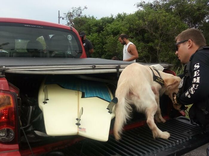 Man in uniform interacting with a dog near a pickup truck, highlighting bond between wild vulture and human friendship.