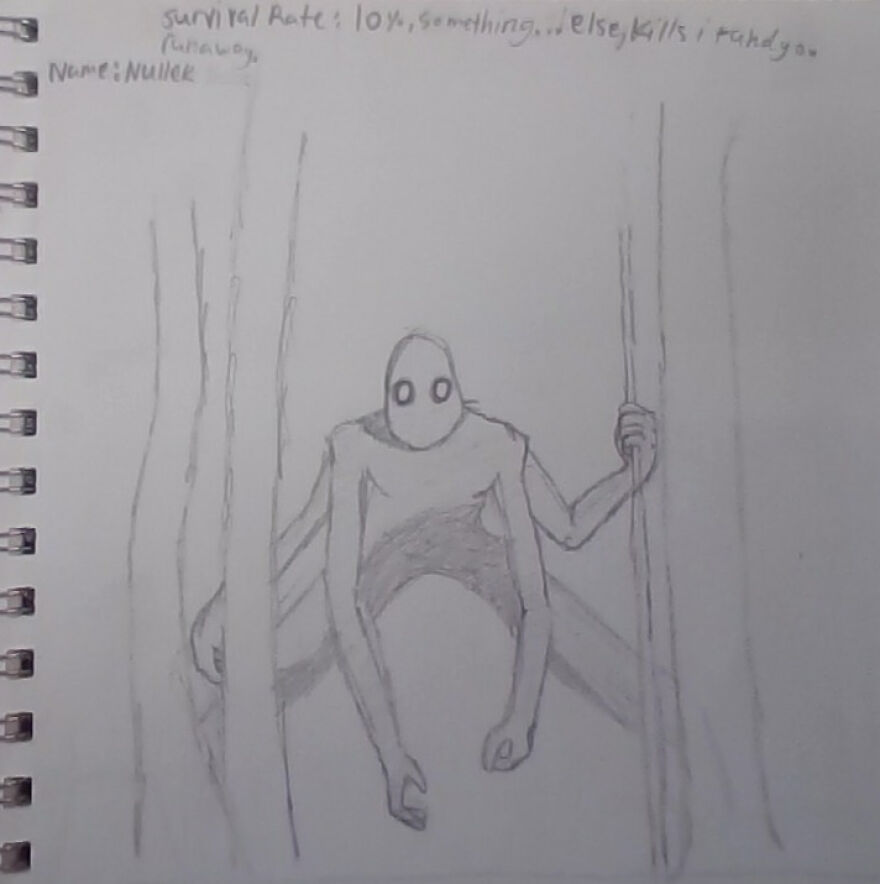 I Couldn`t Take A Photo But I Had Binoculars And A Sketchpad And Pencil In My Backpack, So I Drew It To Have Proof Here Is The Story: