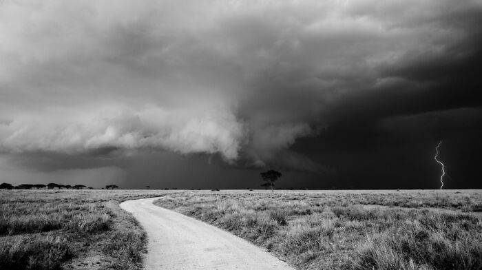 Dramatic black and white landscape with dark storm clouds, lightning strike, and an open road in stunning animal photos collection.