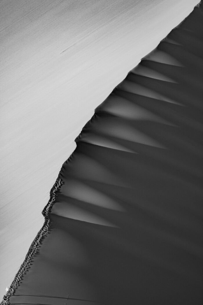 Black and white photo showcasing stunning animal photos in non professional category of Exposure One Awards.