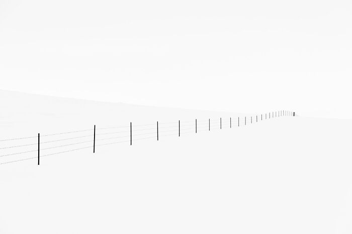 Minimalist photo of a long fence in a snowy landscape, showcasing stunning animal photos in a non professional category style.