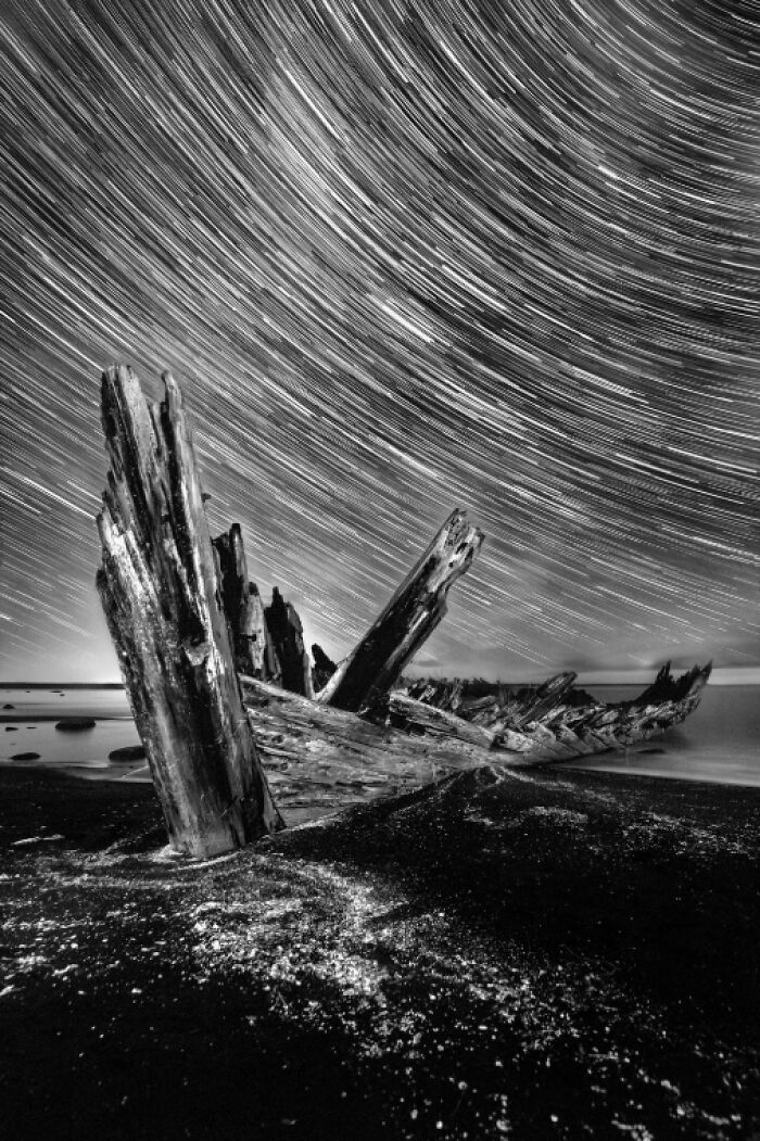 Black and white photo of a rugged shore under star trails, highlighting stunning animal photos from the non professional category.