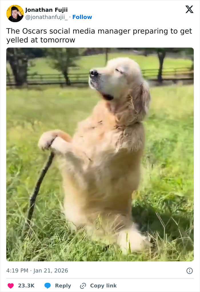Golden retriever standing on hind legs holding a stick outdoors, illustrating humor related to Academy releases 2026 Oscar nominations. Golden retriever standing on hind legs holding a stick outdoors, illustrating humor related to Academy releases 2026 Oscar nominations.