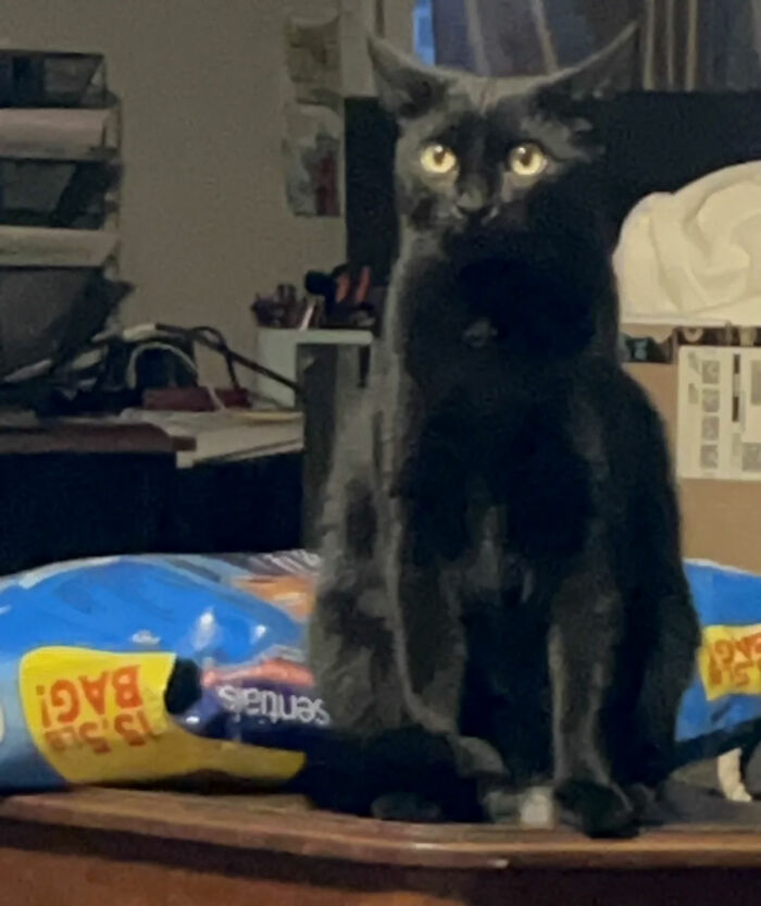 50 Times People Heard Such Brilliant And Bizarre Pet Names That They Just Had To Share Them