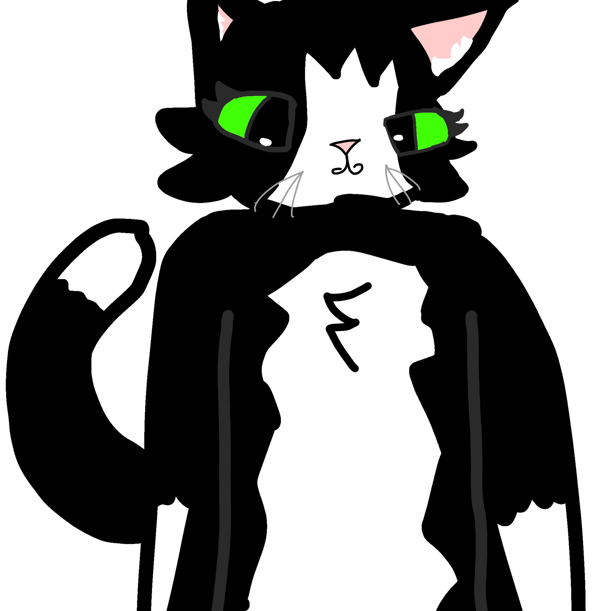 Oero My Cat It’s My Real Cat I Really Love Her