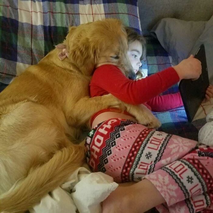 Golden retriever hugging a child lying on a bed, sharing a hilarious moment caught on camera with animal images.