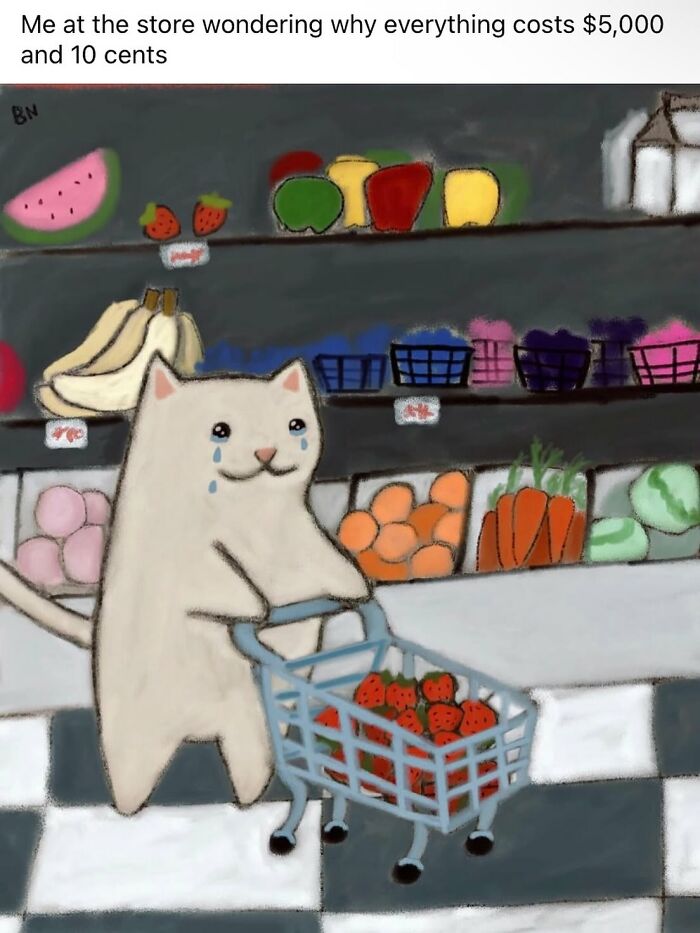 Wholesome cat illustration with subtle humor shows a cat shopping with teary eyes and a cart full of strawberries.