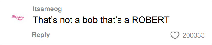 Screenshot of a social media comment reacting humorously, related to a woman’s cream cheese review sparking internet buzz. Screenshot of a social media comment reacting humorously, related to a woman’s cream cheese review sparking internet buzz.