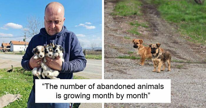 Inside Serbia’s Largest Shelter, A Small Team Is Caring For Over A Thousand Animals (37 Pics)