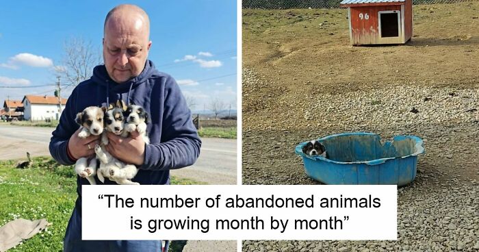 Inside Serbia’s Largest Shelter, A Small Team Is Caring For Over A Thousand Animals (37 Pics)