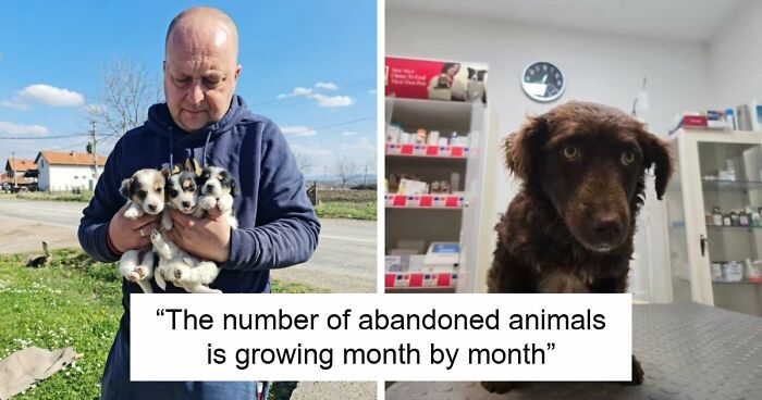Inside Serbia’s Largest Shelter, A Small Team Is Caring For Over A Thousand Animals (37 Pics)