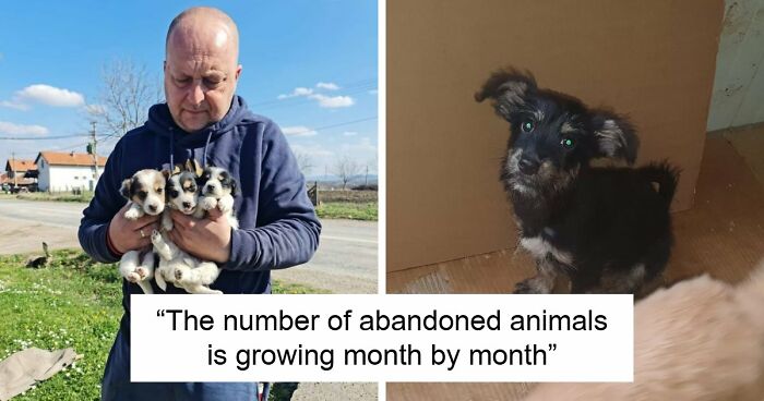 Inside Serbia’s Largest Shelter, A Small Team Is Caring For Over A Thousand Animals (37 Pics)