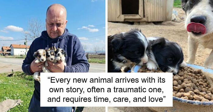 A Small Team Is Caring For 1,700+ Abandoned And Rescued Animals In Serbia’s Largest Shelter (37 Pics)