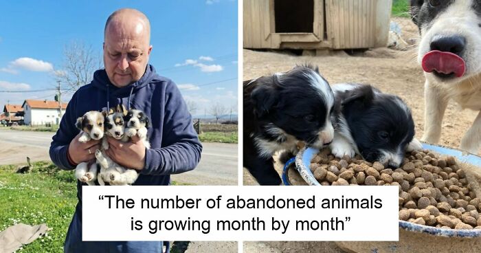 A Small Team Is Caring For 1,700+ Abandoned And Rescued Animals In Serbia’s Largest Shelter (37 Pics)