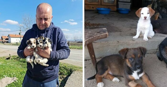 A Small Team Is Caring For 1,700+ Abandoned And Rescued Animals In Serbia’s Largest Shelter (37 Pics)