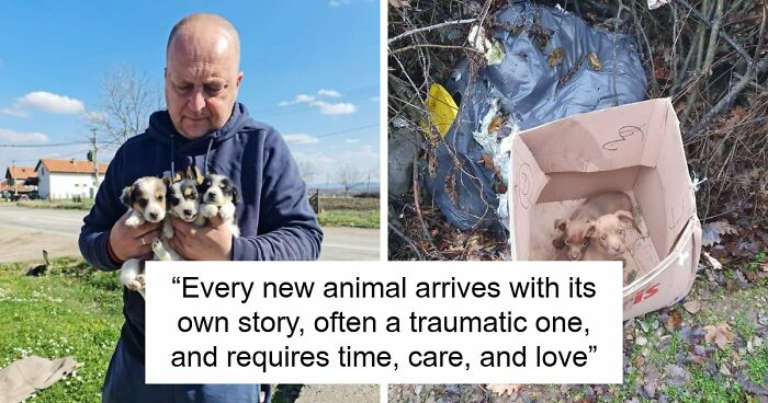 A Small Team Is Caring For 1,700+ Abandoned And Rescued Animals In Serbia’s Largest Shelter (37 Pics)