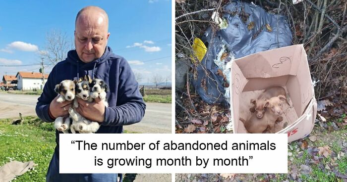 A Small Team Is Caring For 1,700+ Abandoned And Rescued Animals In Serbia’s Largest Shelter (37 Pics)
