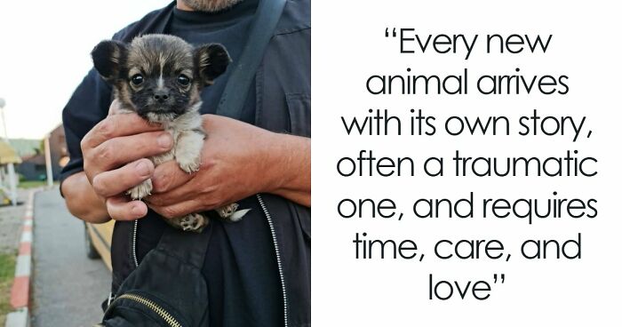 Inside Serbia’s Largest Shelter, A Small Team Is Caring For Over A Thousand Animals (37 Pics)