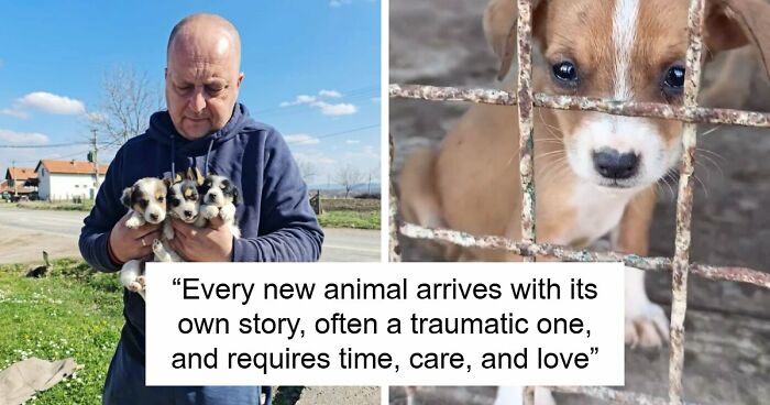 Inside Serbia’s Largest Shelter, A Small Team Is Caring For Over A Thousand Animals (37 Pics)