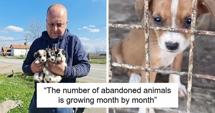 A Small Team Is Caring For 1,700+ Abandoned And Rescued Animals In Serbia’s Largest Shelter (37 Pics)
