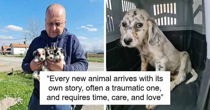 Inside Serbia’s Largest Shelter, A Small Team Is Caring For Over A Thousand Animals (37 Pics)