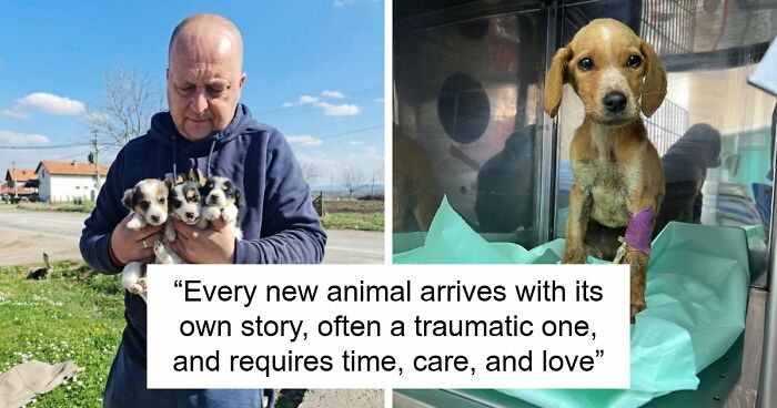 A Small Team Is Caring For 1,700+ Abandoned And Rescued Animals In Serbia’s Largest Shelter (37 Pics)