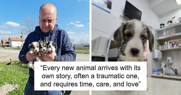 These Puppies And Dogs Were Abandoned, Now A Small Team Of Shelter Volunteers Is Keeping Them Safe (37 Pics)