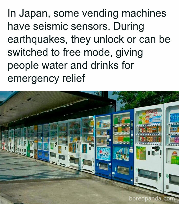 Amazing Photos - row of Japanese vending machines offering drinks, equipped with seismic sensors that can switch to free mode