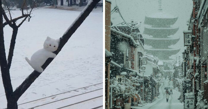 80 Beautiful Landscapes And Cityscapes Of This Winter Are Unmatched