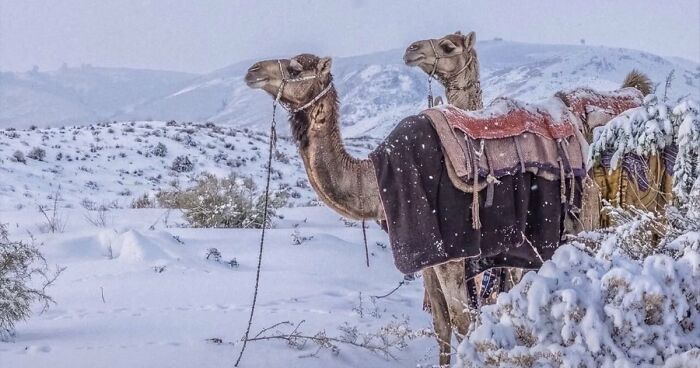 80 Beautiful Landscapes And Cityscapes Of This Winter Are Unmatched