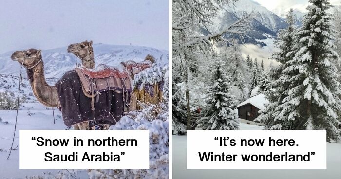 80 Cozy Images Of This Year’s Winter To Enjoy Without Stepping Into The Cold