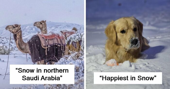 80 Beautiful Landscapes And Cityscapes Of This Winter Are Unmatched