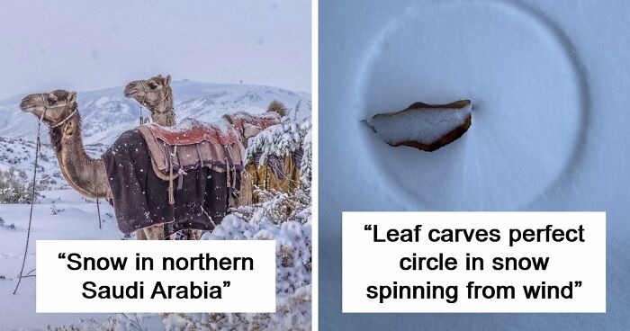 80 Cozy Images Of This Year’s Winter To Enjoy Without Stepping Into The Cold