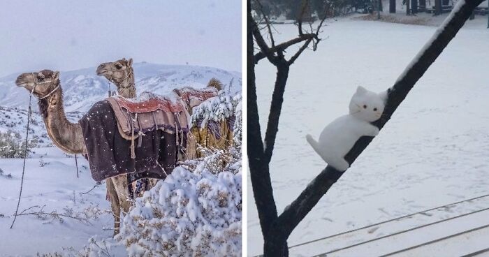 80 Beautiful Landscapes And Cityscapes Of This Winter Are Unmatched