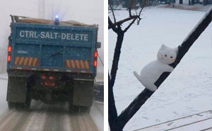 40 Cozy Images Of This Year’s Winter To Enjoy Without Stepping Into The Cold