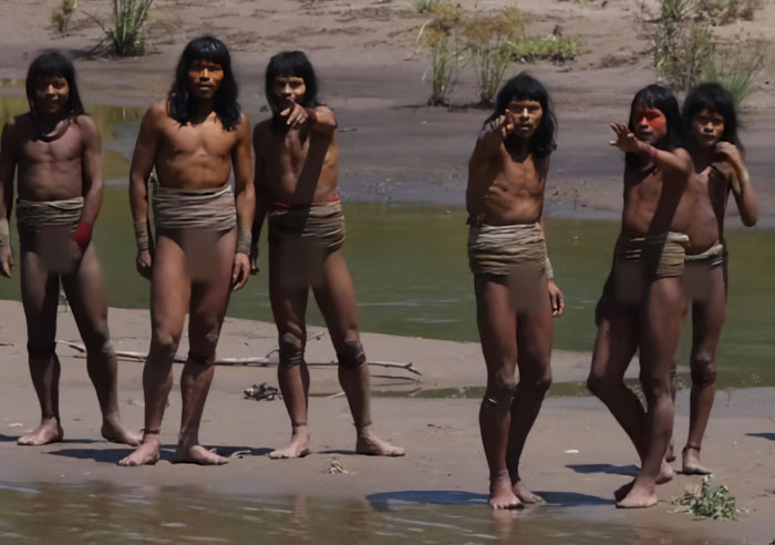 Uncontacted Amazonian tribe standing by riverbank, wearing traditional attire, showcasing rare footage in remote jungle area. Uncontacted Amazonian tribe standing by riverbank, wearing traditional attire, showcasing rare footage in remote jungle area.