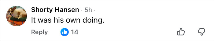Facebook comment by Shorty Hansen saying It was his own doing, with 14 likes and a dog profile picture.