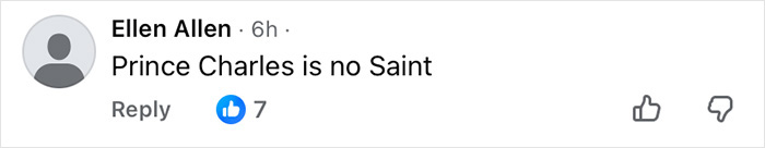 Comment by Ellen Allen stating Prince Charles is no saint with seven likes on a social media post.